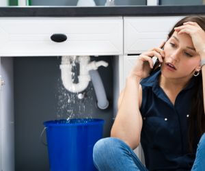 About Emergency plumbing pros Endicott, WA